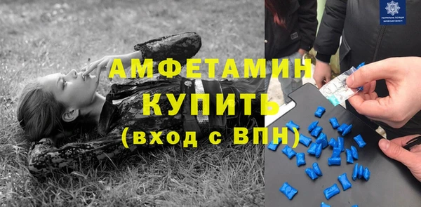 шишки Тихвин